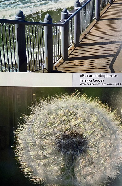Студия фотографии «ФотоФокус»