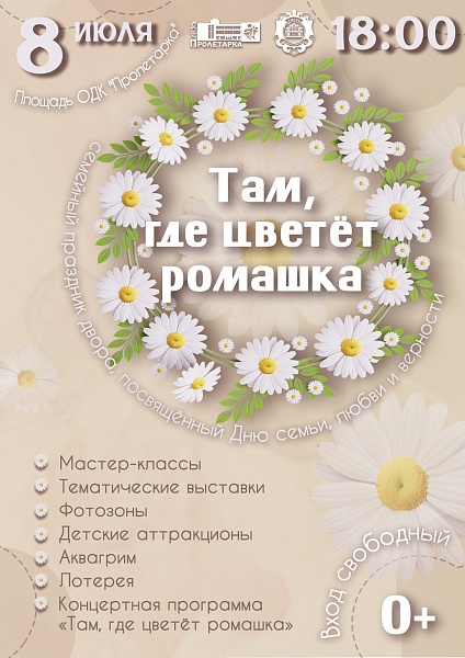 Семейный праздник, посвященный Дню семьи, любви и верности "Там, где цветёт ромашка"
