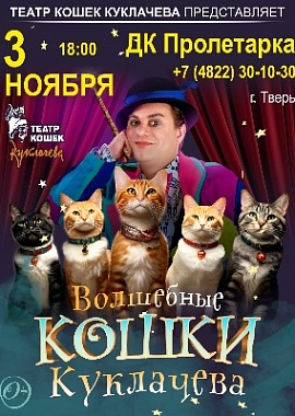 Владимир Куклачев "Волшебные кошки"